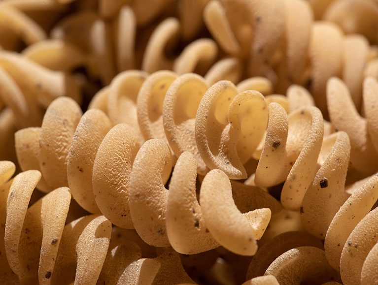 Fabbrura Cinnamon Fusilli with Rough Texture