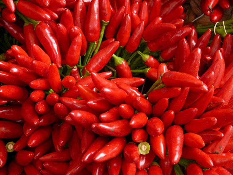 Red Chillies